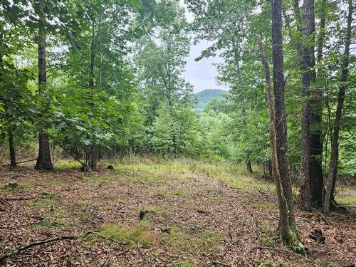 TBD Mallard Ln, Fries, VA, 24330 | Card Image