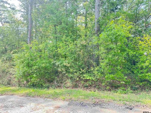 Lot 9 Three Points Estate, Frankston, TX, 75763 | Card Image