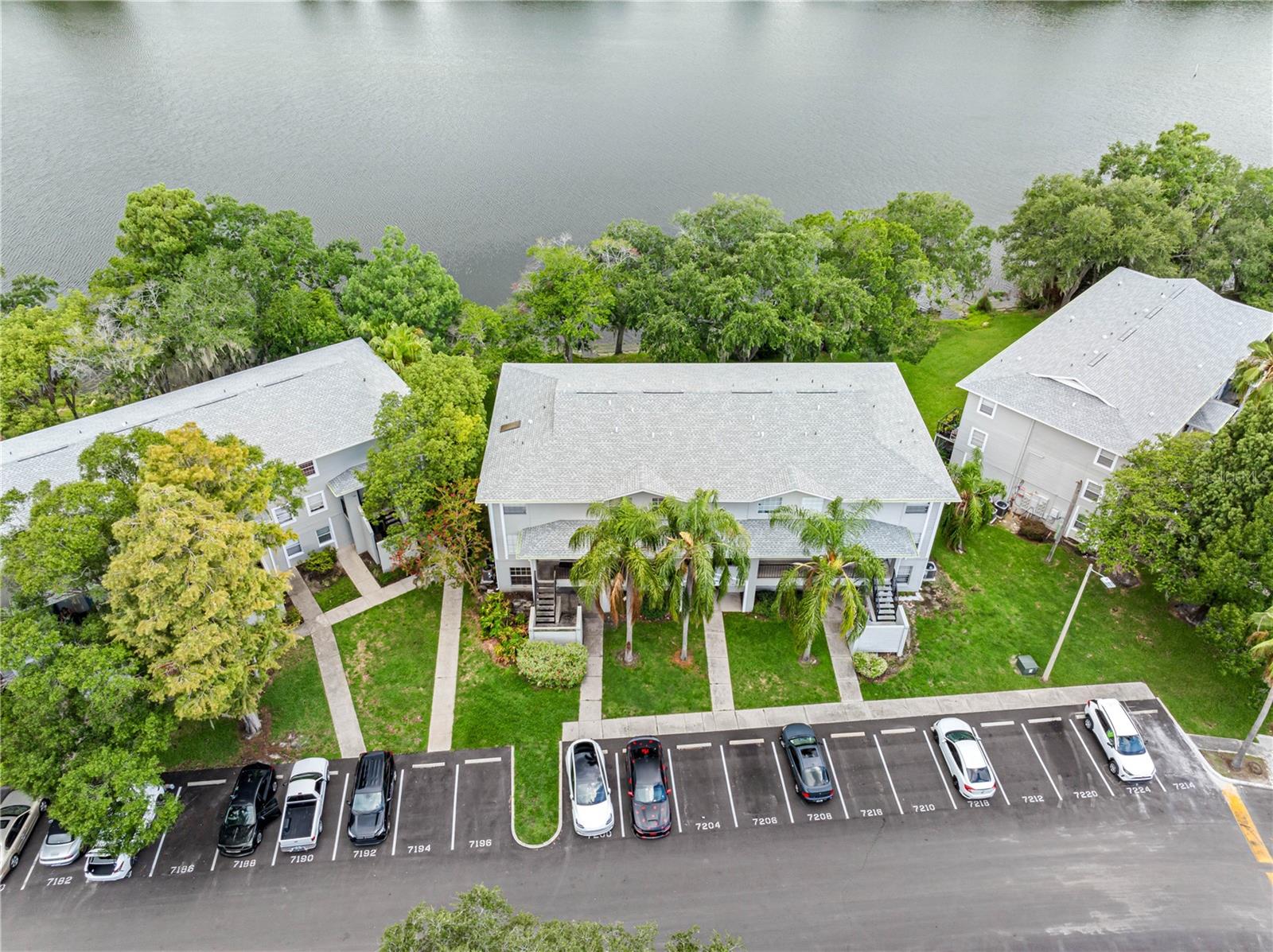 Residential Lease in TAMPA 4