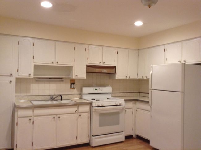 APT-2 - 960 Shermer Rd, Condo with 1 bedrooms, 1 bathrooms and 1 parking in Glenview IL | Image 5