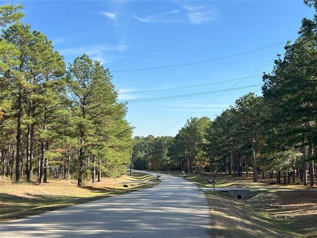 1142 Fletcher, Home with 3 bedrooms, 4 bathrooms and 3 parking in Anderson TX | Image 46