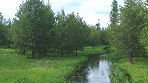 360 Discovery Loop, Marion, MT, 59925 | Card Image