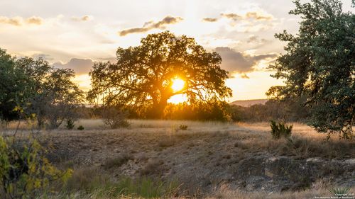 1593 County Road 354, Utopia, TX, 78884 | Card Image