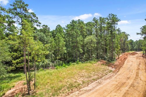 4029 Augusta Drive, Montgomery, TX, 77316 | Card Image