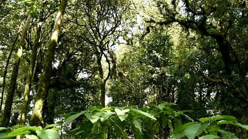 5791 Nw Whitecap Rd, Port St. Lucie, FL, 34986-3709 | Card Image