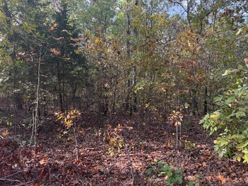 000 Tbd Yy Highway, Norwood, MO, 65717 | Card Image