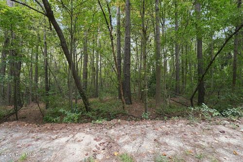 134 Bellhaven Dr, Whispering Pines, NC, 28327-9597 | Card Image