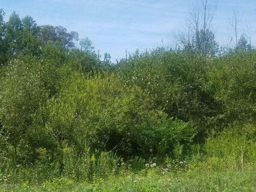 lot-16-V/L S Marlene Street, Rothbury, MI, 49452 | Card Image