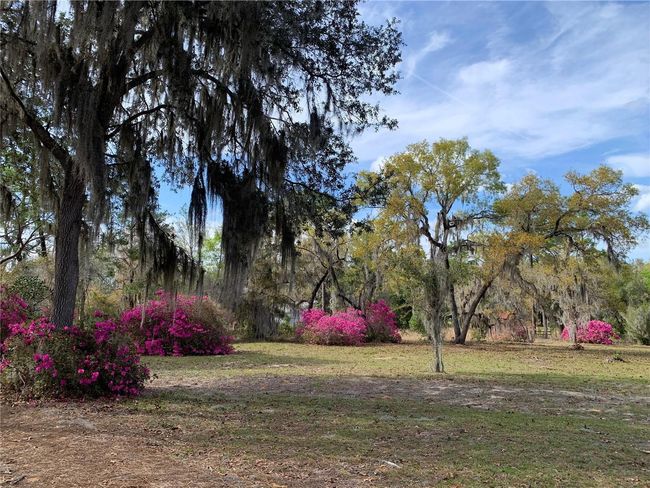 24605 Ne 177 Th Ter, House other with 3 bedrooms, 2 bathrooms and null parking in Fort Mc Coy FL | Image 99