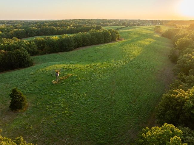 Aerial view at dusk featuring a rural view | Image 32
