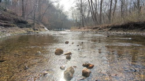 319 N Chisholm Creek Rd, Lawrenceburg, TN, 38464-6698 | Card Image