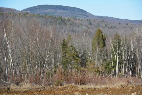 Lot 137.25 French Hill Road, Albany Twp, ME, 04217 | Card Image