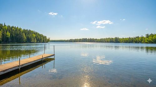 53549 Little Bear Trl, Bigfork, MN, 56628-6003 | Card Image