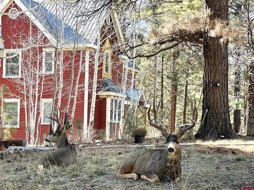 unit-105b-308 Silver Queen S, Durango, CO, 81301-9432 | Card Image