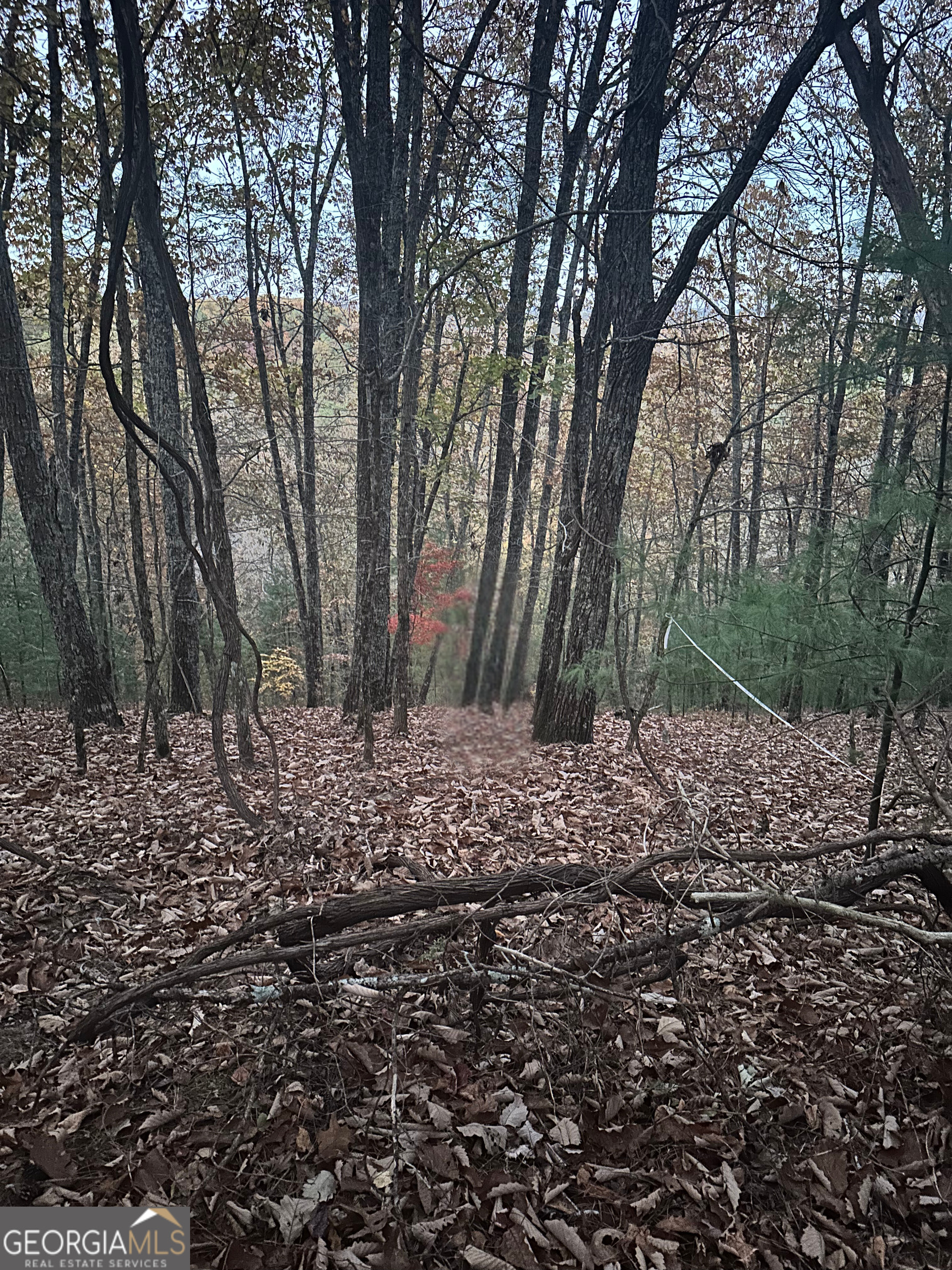 Land in Ranger 3