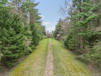 11.01 Acres Vacant Land Knights Bridge Road, Home with 0 bedrooms, 0 bathrooms and null parking in Addison Twp MI | Image 2