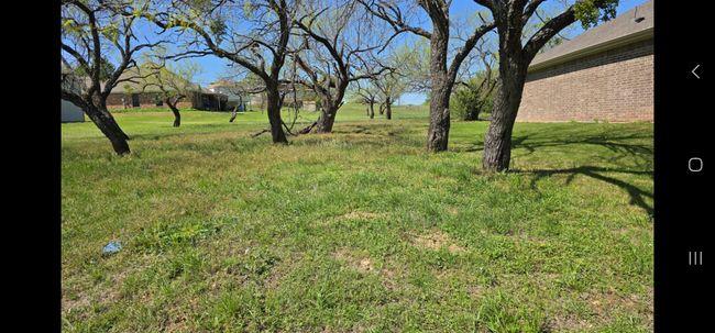 View of yard | Image 5