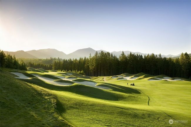 Golf and Sports limited promotions. | Image 37