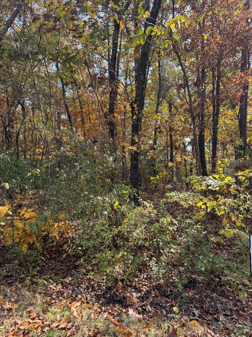 000 Menominee Dr, Cherokee Village, AR, 72529 | Card Image