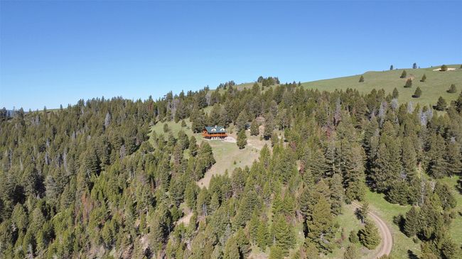 Aerial view of property's location with a heavily wooded area | Image 72
