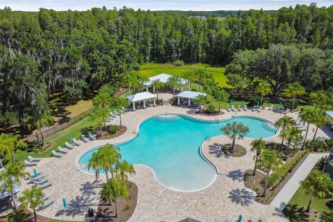 10701 Morning Dew Way, House other with 7 bedrooms, 6 bathrooms and null parking in TAMPA FL | Image 81