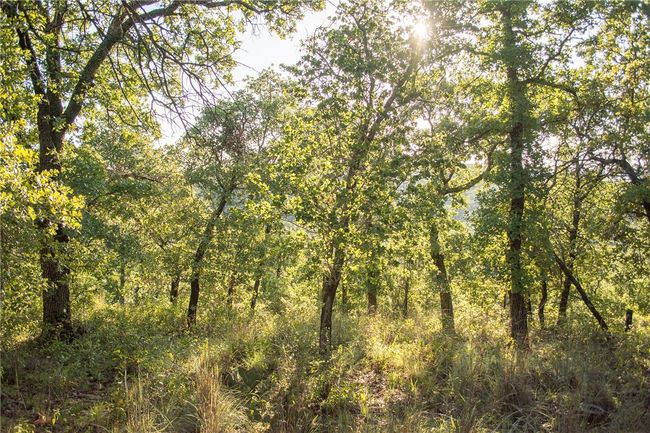 1020 Post Oak Rd, Home with 0 bedrooms, 0 bathrooms and null parking in Gordon TX | Image 21