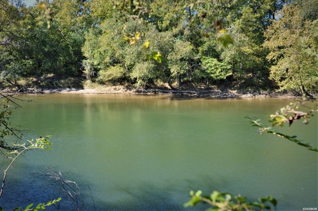 000 Dallas 273 Rd, Home with 0 bedrooms, 0 bathrooms and null parking in Sparkman AR | Image 17