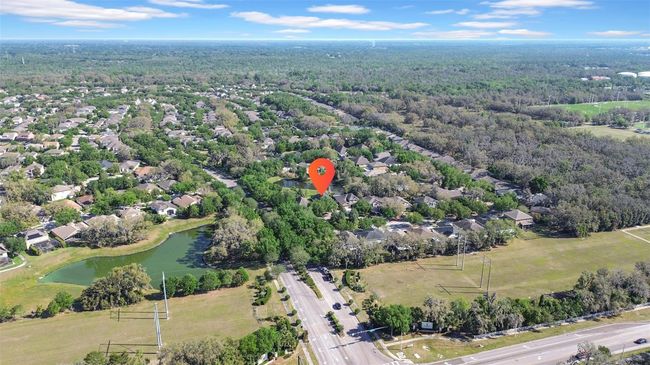 15861 Starling Water Dr, House other with 4 bedrooms, 3 bathrooms and null parking in LITHIA FL | Image 45