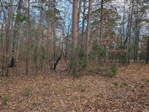 2 Morro Pl, Hot Springs Village, AR, 71909 | Card Image