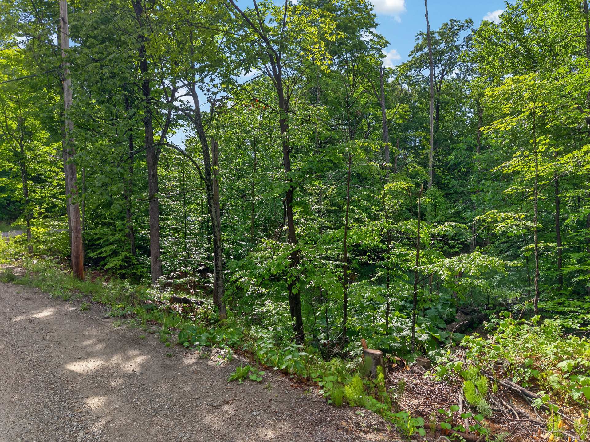 Land in Cantley 3