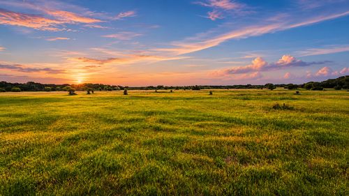 TBD County Road 310, Jonesboro, TX, 76538 | Card Image