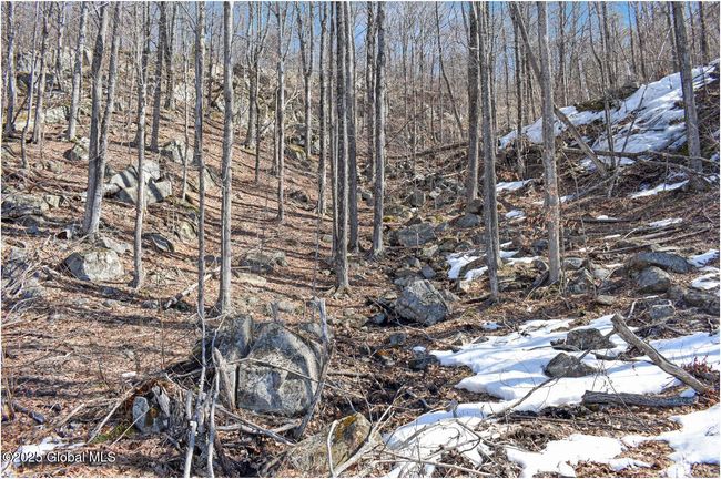 48 Durkin Rd, Home with 0 bedrooms, 0 bathrooms and null parking in North Creek NY | Image 28