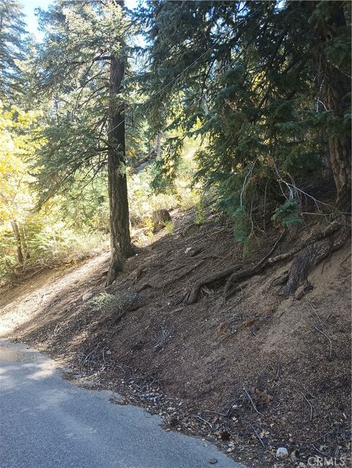 0 Cherry Ln, Big Bear Lake, CA, 92315 | Card Image