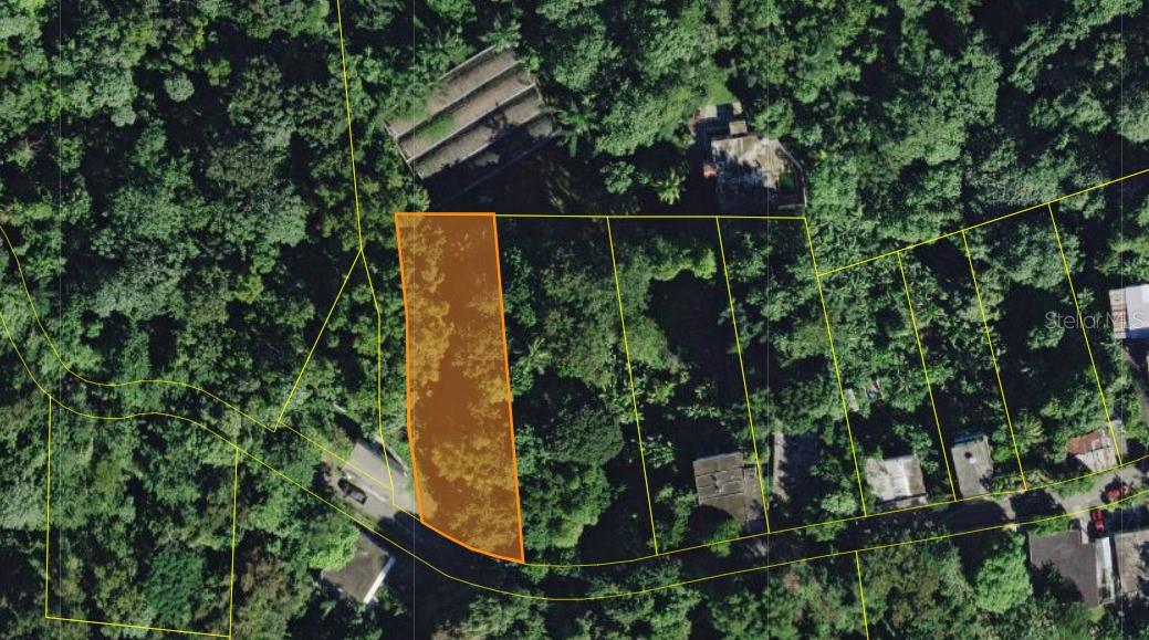 Land en venta en SAN GERMAN, CAIN ALTO. BO. HOCONUCO ALTO