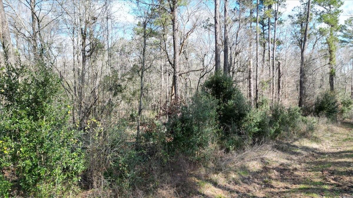 Land in Conroe 4