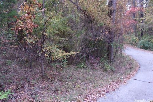 00 Flint Dr, Lakeview, AR, 72642 | Card Image