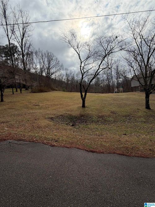 1-363 Oak Ridge Dr, ONEONTA, AL, 35121-7012 | Card Image