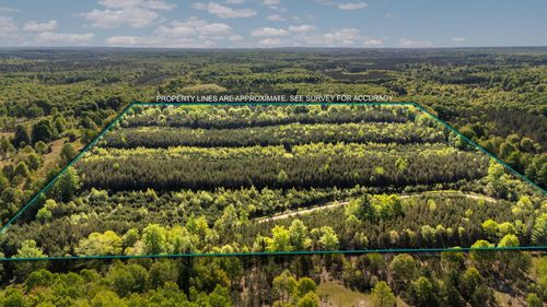 Acreage-40 Cedar Creek Rd, Fife Lake, MI, 49633 | Card Image