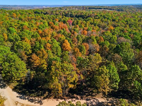 2-000 County Road 517, Hardenville, MO, 65666 | Card Image