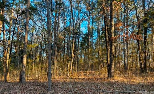 Lot 9 &amp;10 Kip Lane, Clinton, AR, 72031 | Card Image