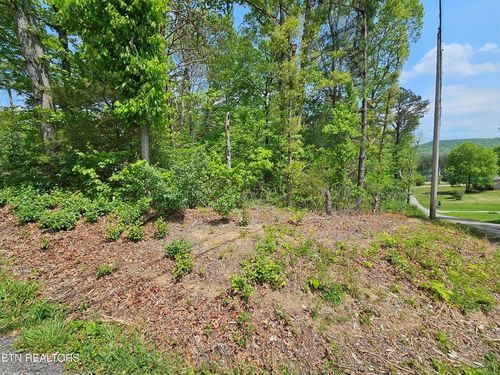 0 Sutherland Dr, Helenwood, TN, 37755 | Card Image
