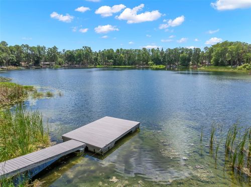 17309 N Dale Mabry Hwy, LUTZ, FL, 33548-4700 | Card Image