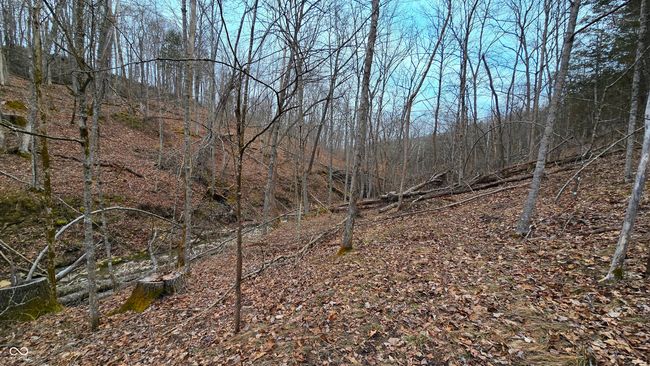 5900 S County Road 700 E, Home with 0 bedrooms, 0 bathrooms and null parking in Dillsboro IN | Image 41