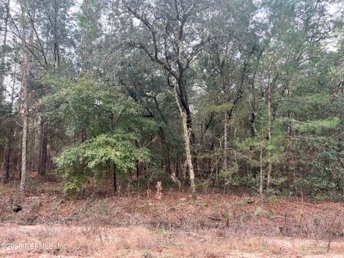 0 Trout Lake Cir, Interlachen, FL, 32148 | Card Image