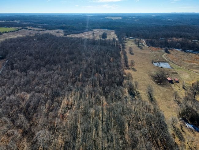 0 Old Jones Easement, Home with 0 bedrooms, 0 bathrooms and null parking in Adolphus KY | Image 9