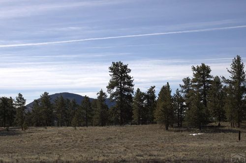 2450 Antelope Ln, Guffey, CO, 80820-9109 | Card Image