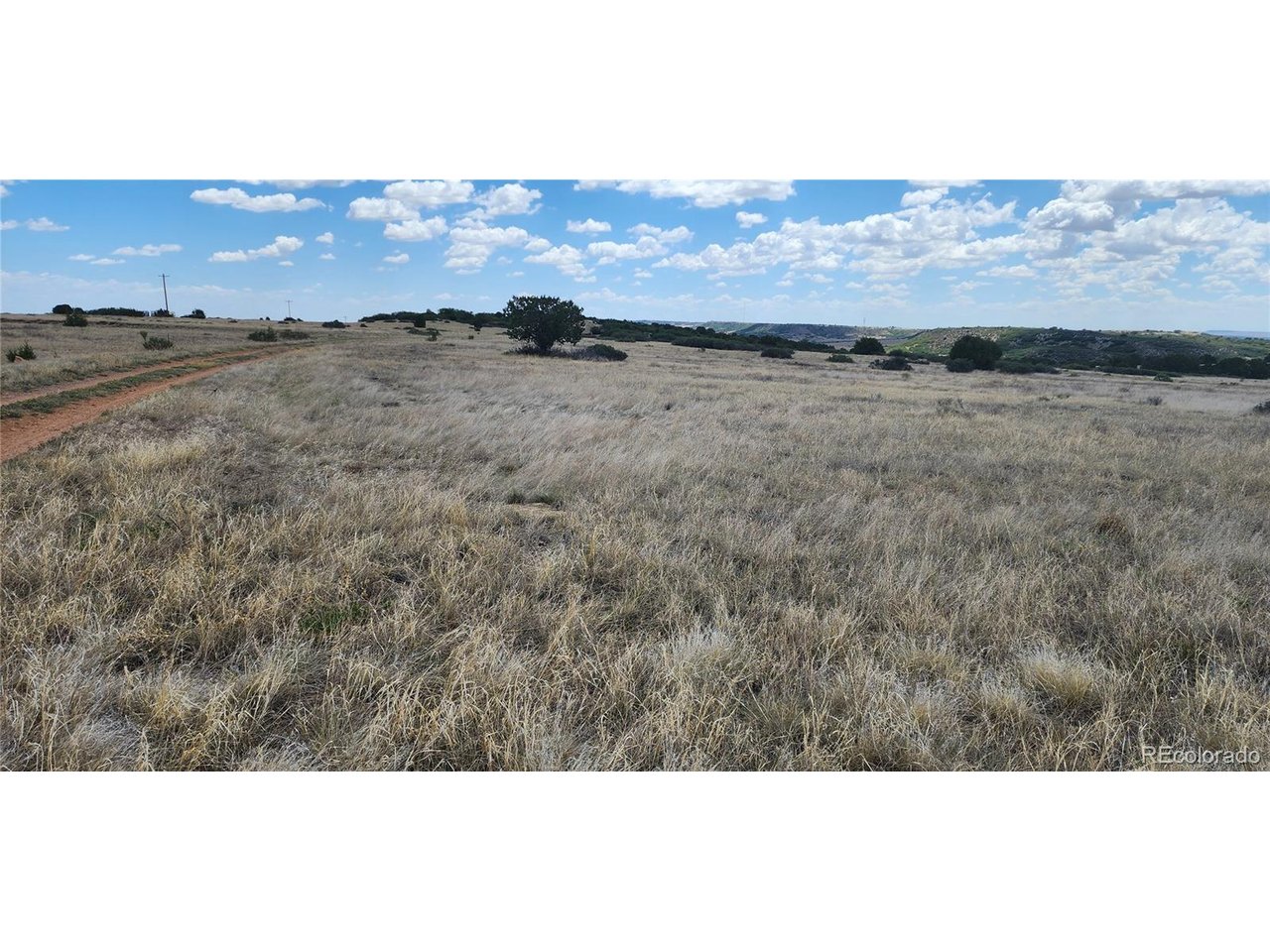 Land in Colorado City