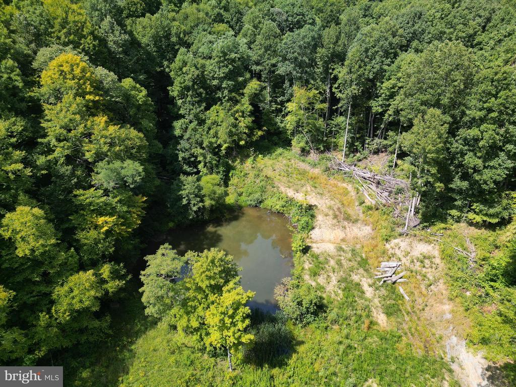 Land in SUMMERSVILLE 5