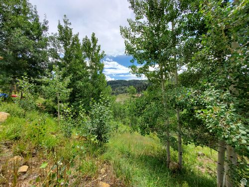 gb-103-103 Brooks Canyon Rd, Fairview, UT, 84629 | Card Image