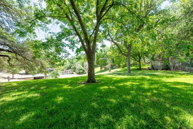 View of green lawn | Image 28